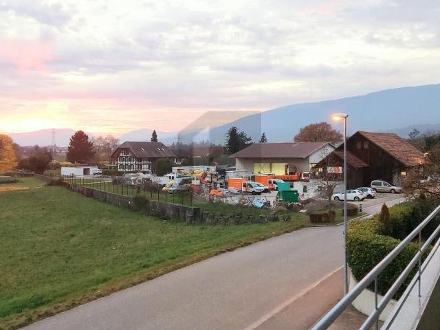 Apartment kaufen in Gampelen, Bern