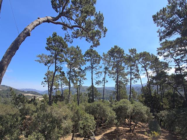 Apartment for sale in Carmel, California