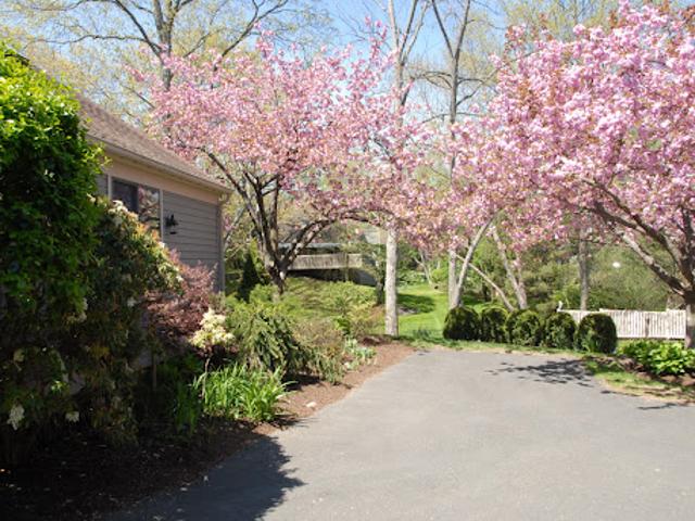 Apartment for sale in Greenwich, Connecticut