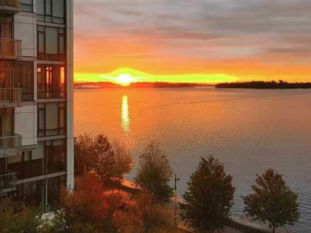 Apartment for sale in Toronto Apartment for sale in Toronto