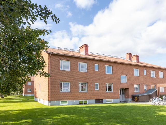 Lägenhet hyra i Umeå, Västerbotten