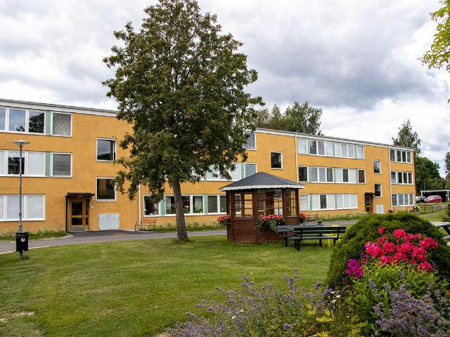 Lägenhet hyra i Dalarna