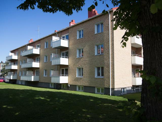 Lägenhet hyra i Skellefteå, Västerbotten