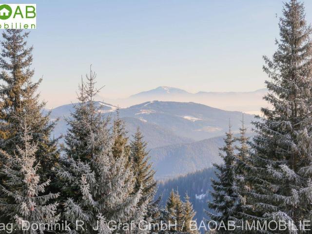 Haus kaufen in Hochrindl - Kegel, Albeck