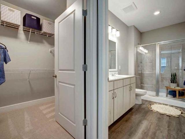 Apartment for rent in Mecklenburg, North Carolina