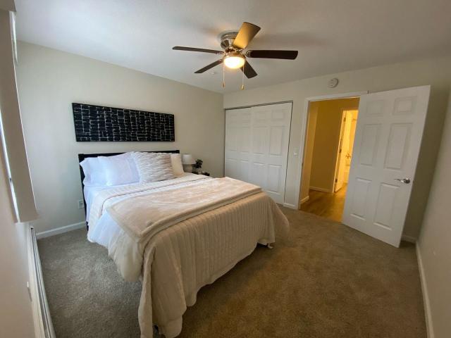 Apartment for rent in Arden Hills, Ramsey County