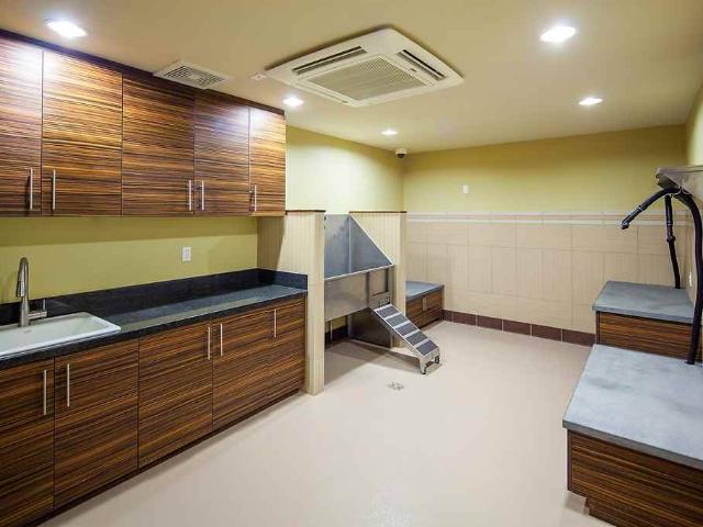 Apartment for rent in Milpitas, California