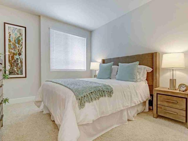 Apartment for rent in Mission Valley, San Diego