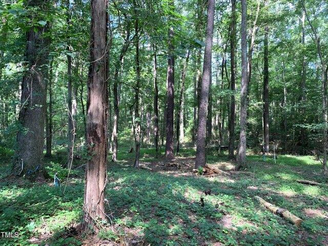 Land for sale in Apex, North Carolina