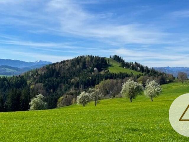 Grundstück kaufen in Randegg, Niederösterreich