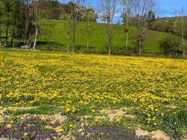 Immobilie kaufen in Niederösterreich