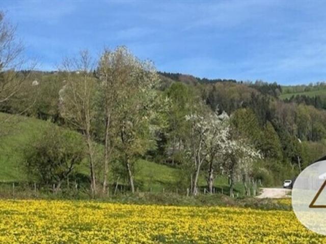 Grundstück kaufen in Randegg, Niederösterreich