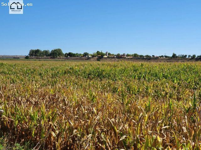 Local Comercial en venta en La Pueblanueva, Castilla-La Mancha
