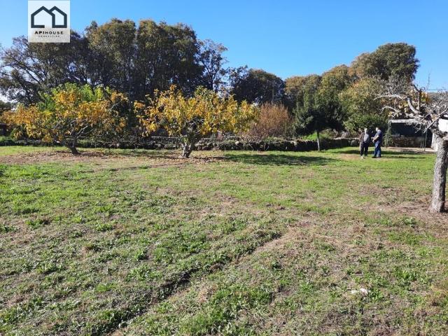 Terreno en venta en Candeleda, Castilla y León