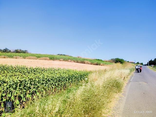 Hayrabolu, Tekirdağ içerisinde satılık Arsa