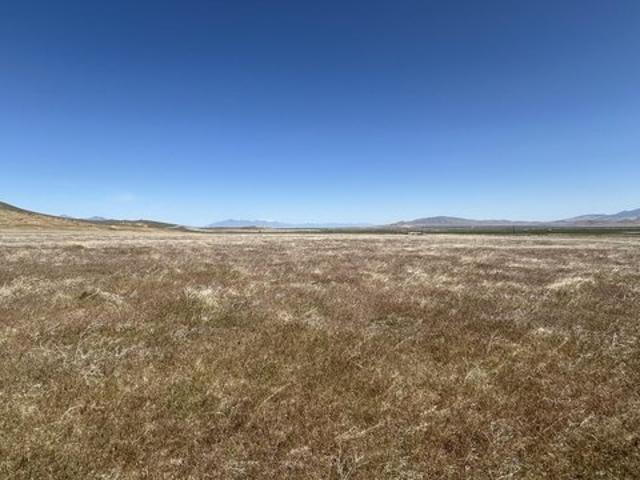 Land for sale in Golconda, Nevada