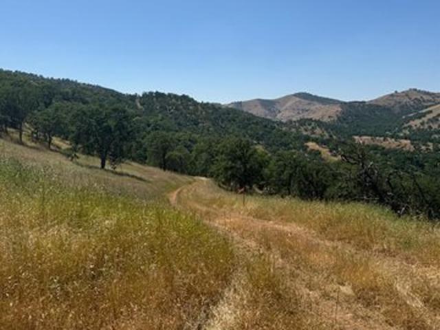 Land for sale in Tollhouse, California