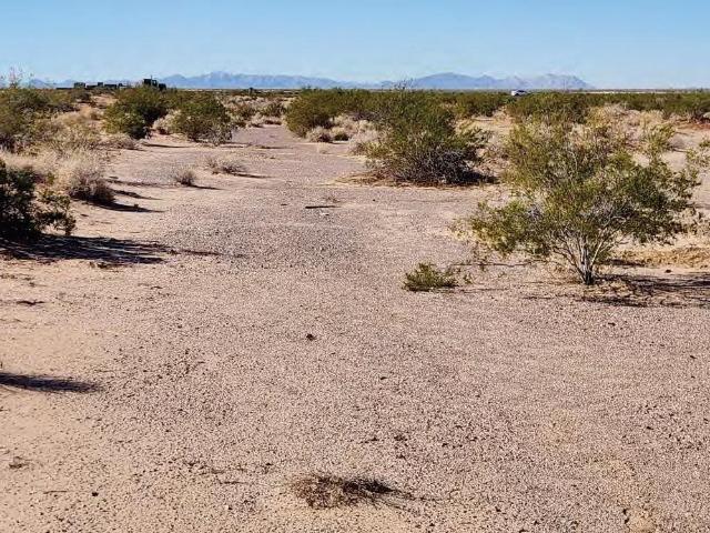Land for sale in Tacna, Arizona