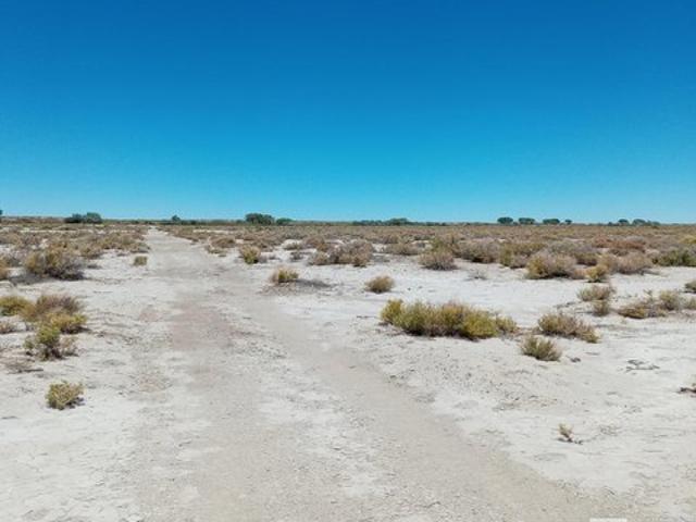 Land for sale in Fallon, Nevada