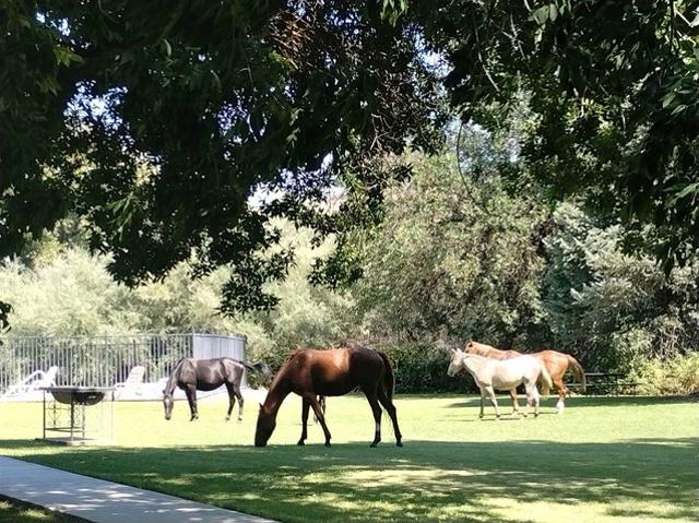 Land for sale in California