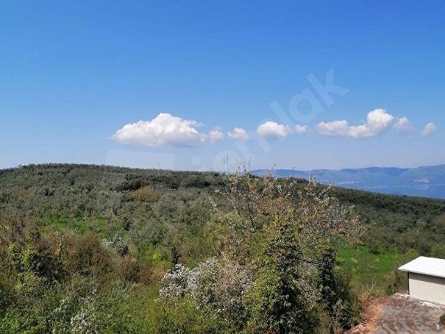 Orhangazi, Bursa içerisinde satılık Arsa