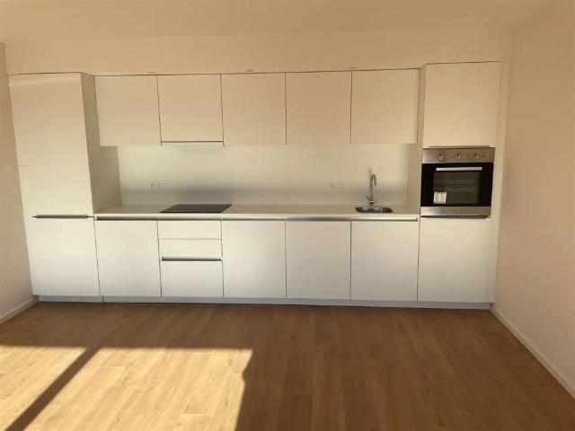 Appartement location à Audenarde, Oost-Vlaanderen