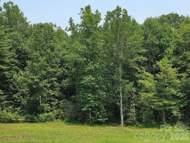 Land for sale in Spruce Pine, North Carolina