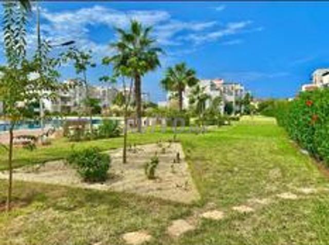 Appartement location à Saida