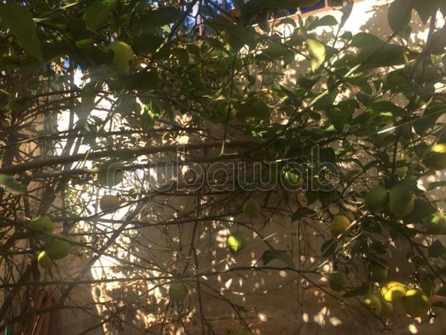 Appartement vente à Dcheira El Jihadia, Oued ed Dahab-Lagouira