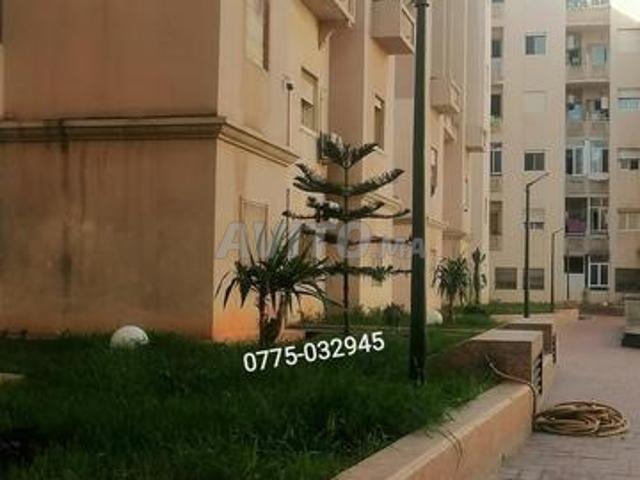 Appartement location à Centre Ville