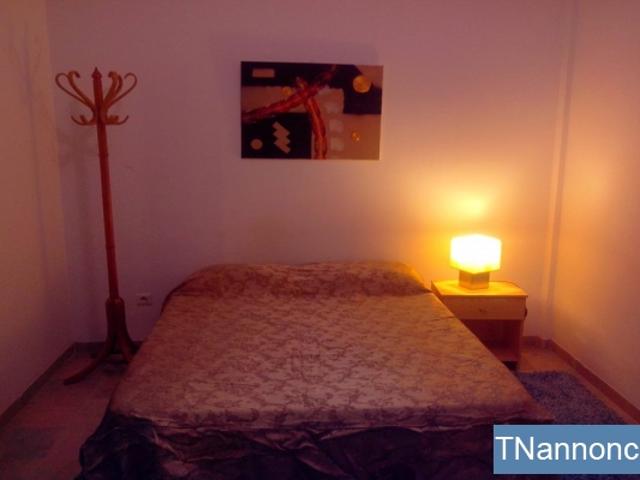 Appartement location