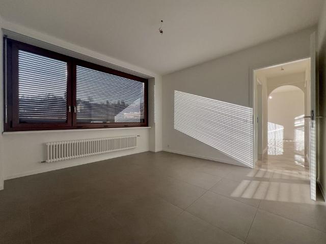 Apartment mieten in Paradiso, Distretto di Lugano