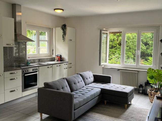 Apartment mieten in Rivera, Monteceneri