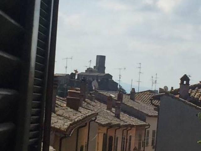 Appartamento in affitto a Tuscania, Lazio