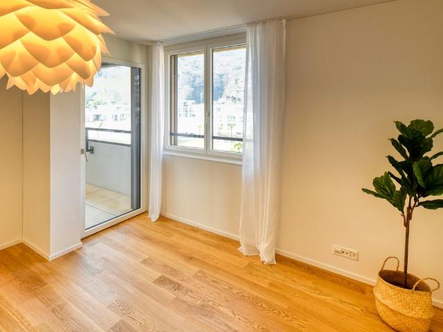 Apartment mieten in Tenero-Contra