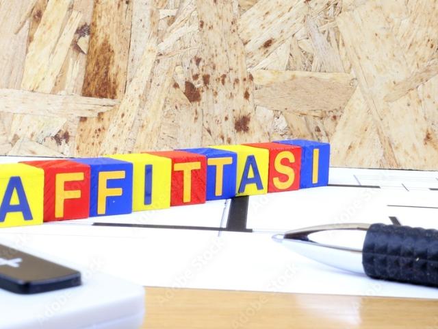 Appartamento in affitto a Trecenta, Veneto