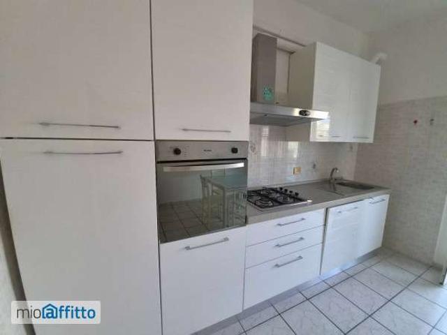 Appartamento in affitto a Municipio Roma X, Roma Capitale