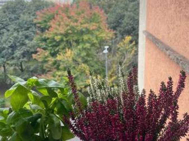 Appartamento in affitto a Municipio 9, Milano