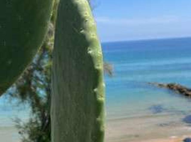 Appartamento in affitto a Calabria, Crotone