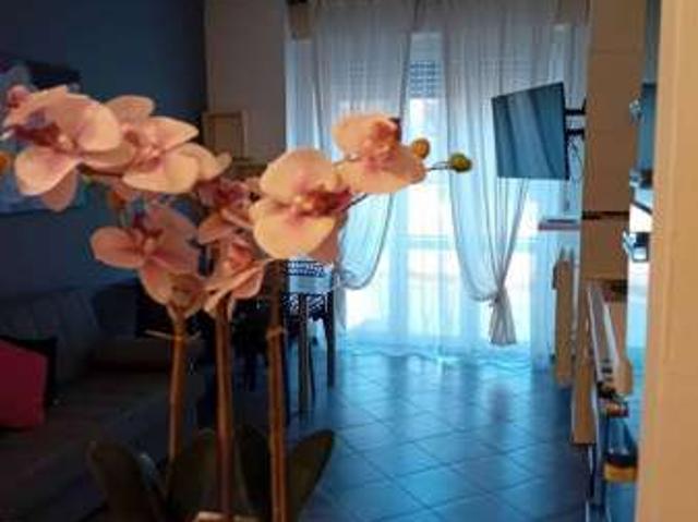 Appartamento in affitto a Piemonte, Novara