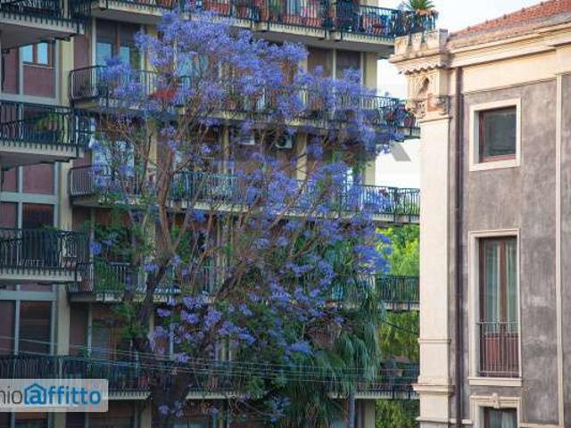 Appartamento in affitto a Centro storico, Catania