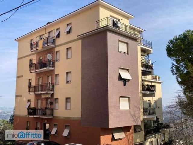 Appartamento in affitto a Marche, Macerata