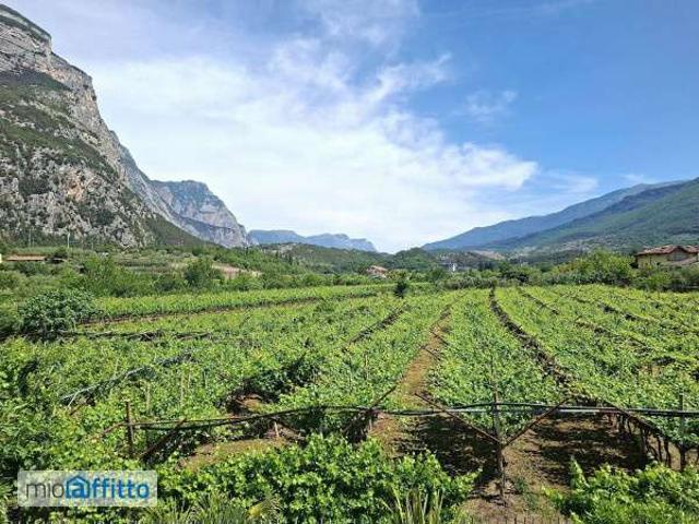 Appartamento in affitto a Comunità Alto Garda e Ledro, Dro