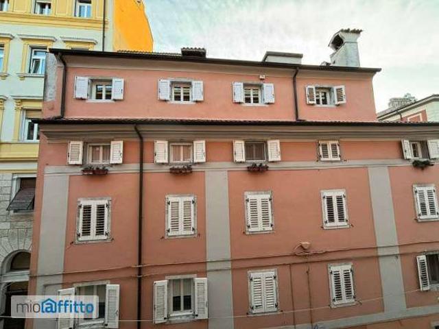 Appartamento in affitto a Città Nuova-Barriera Nuova-San Vito-Città Vecchia, Villa Opicina