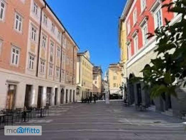 Appartamento in affitto a Città Nuova-Barriera Nuova-San Vito-Città Vecchia, Villa Opicina