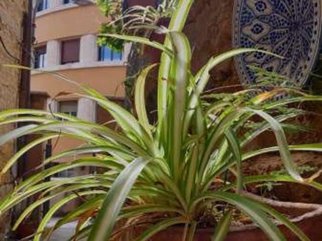 Appartamento in affitto a Sottogas, Agrigento