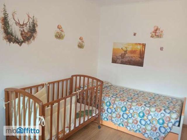 Appartamento in affitto a San Pietro Di Cadore, Veneto
