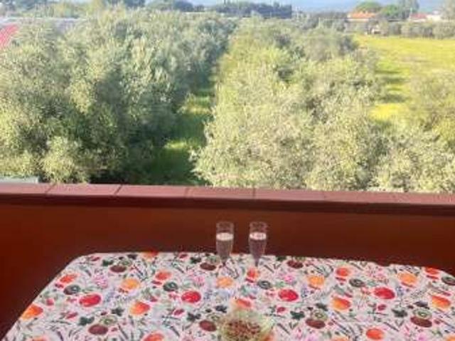 Appartamento in affitto a Bolgheri, Toscana