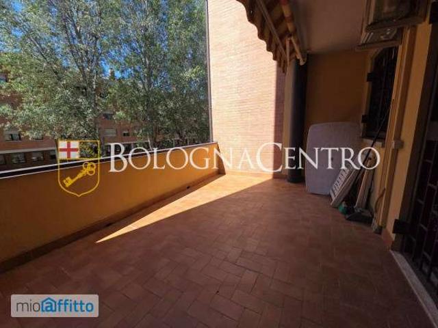 Appartamento in affitto a San Donato-San Vitale, Bologna