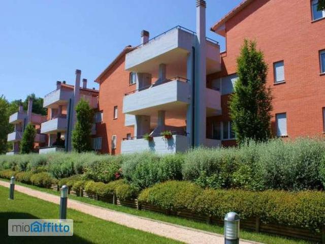 Appartamento in affitto a Orte, Lazio
